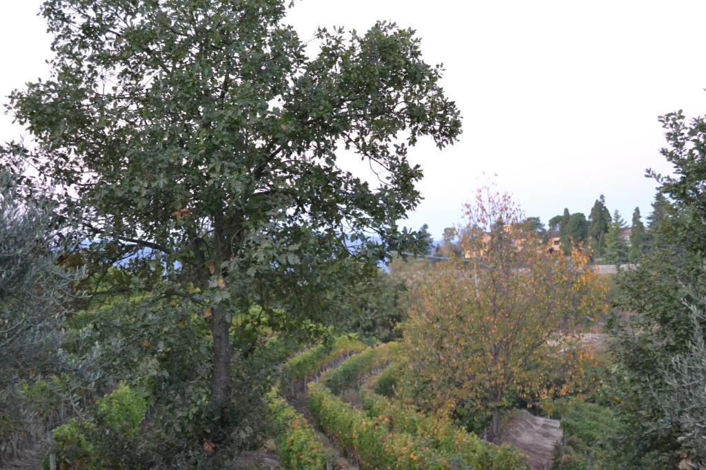 Agriturismo Costa Dei Platani Acqui Terme Eksteriør bilde