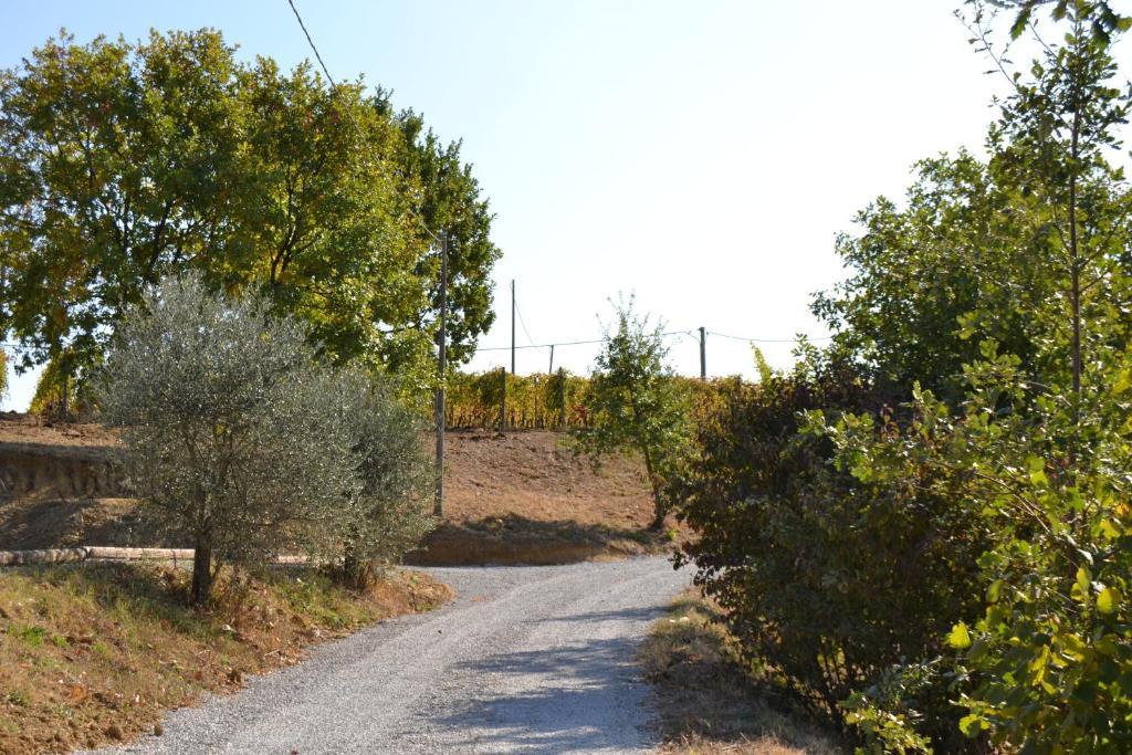 Agriturismo Costa Dei Platani Acqui Terme Eksteriør bilde