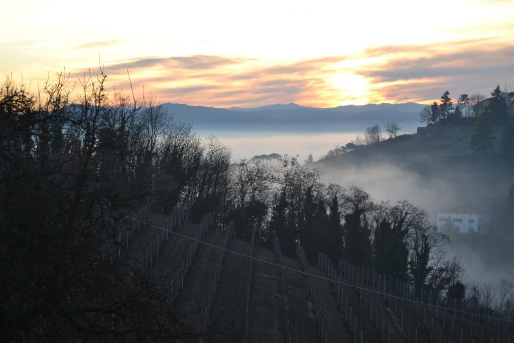 Agriturismo Costa Dei Platani Acqui Terme Eksteriør bilde