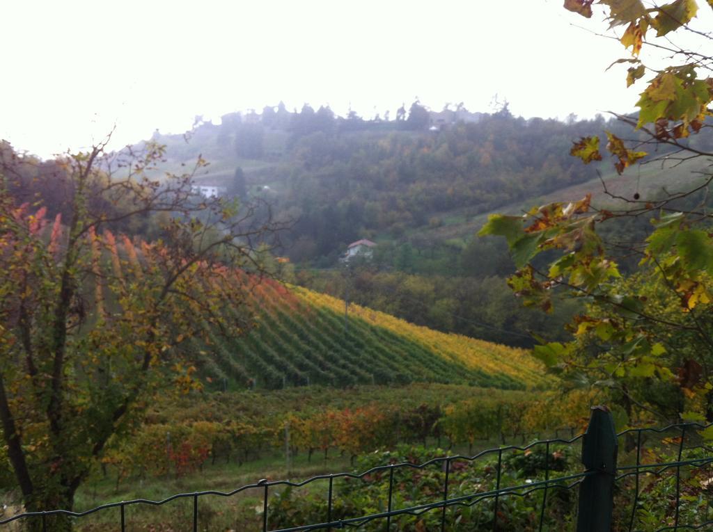Agriturismo Costa Dei Platani Acqui Terme Eksteriør bilde