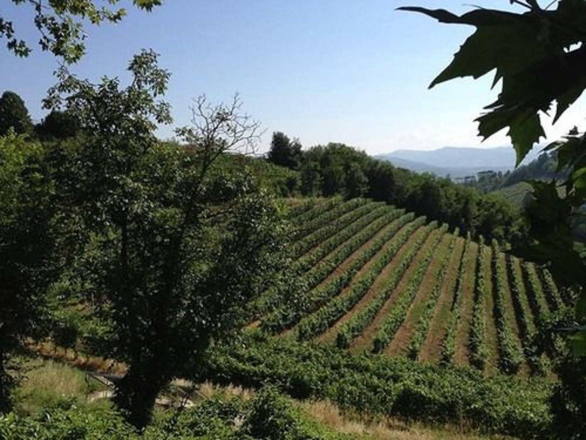 Agriturismo Costa Dei Platani Acqui Terme Eksteriør bilde