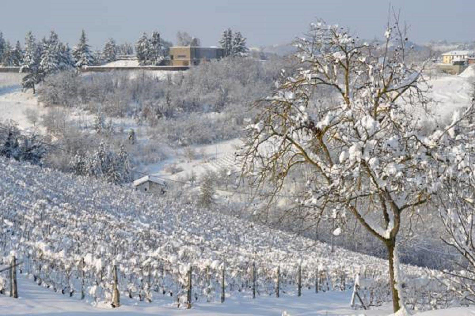 Agriturismo Costa Dei Platani Acqui Terme Eksteriør bilde