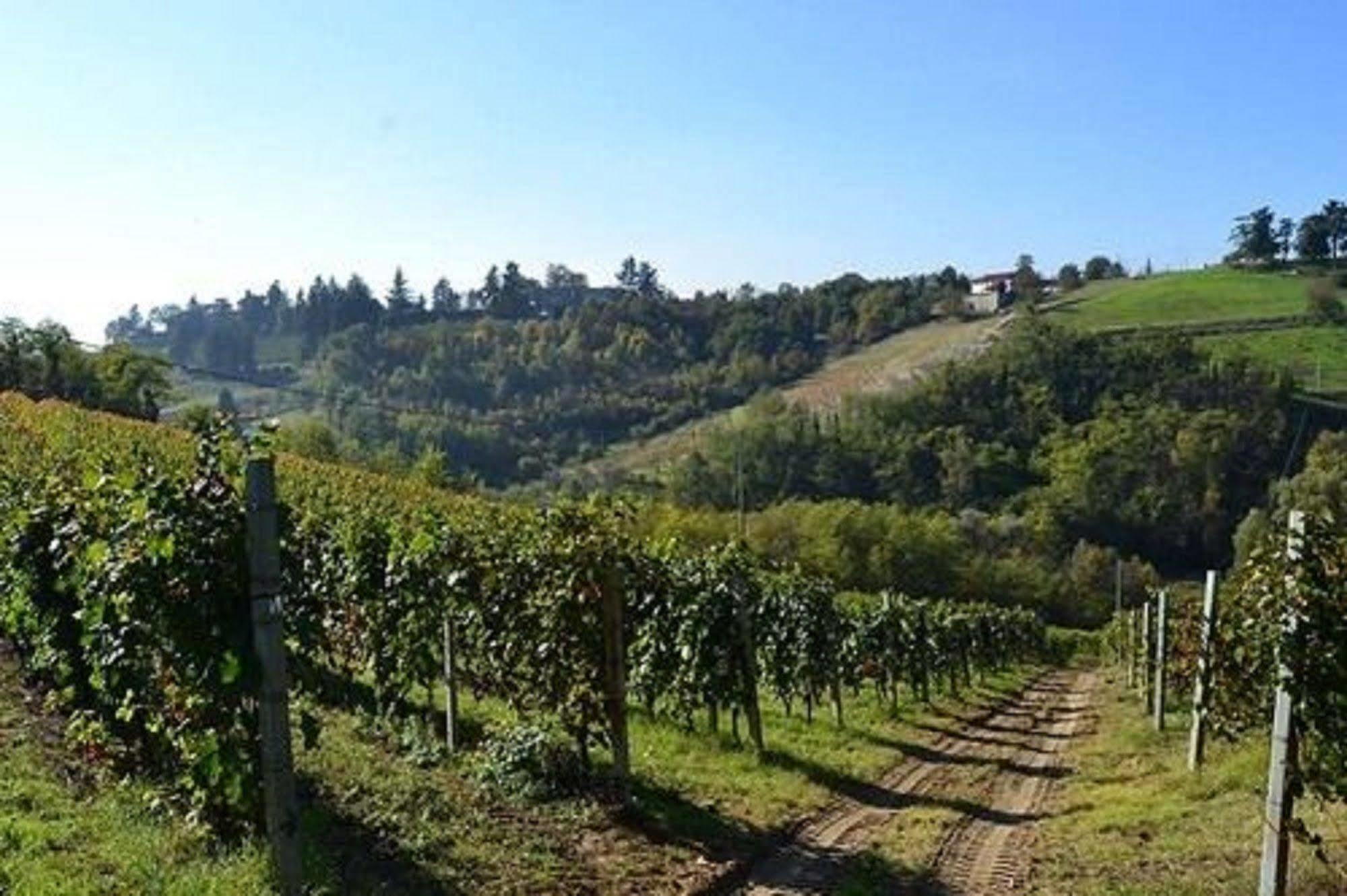 Agriturismo Costa Dei Platani Acqui Terme Eksteriør bilde