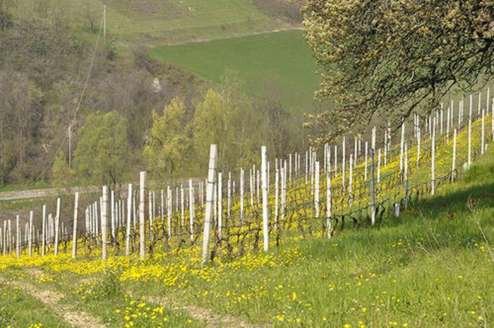 Agriturismo Costa Dei Platani Acqui Terme Eksteriør bilde