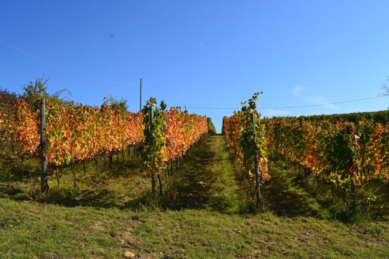 Agriturismo Costa Dei Platani Acqui Terme Eksteriør bilde